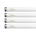 20 Watt T12 Fluorescent Tube Light Bulb Daylight 4 Count E2143