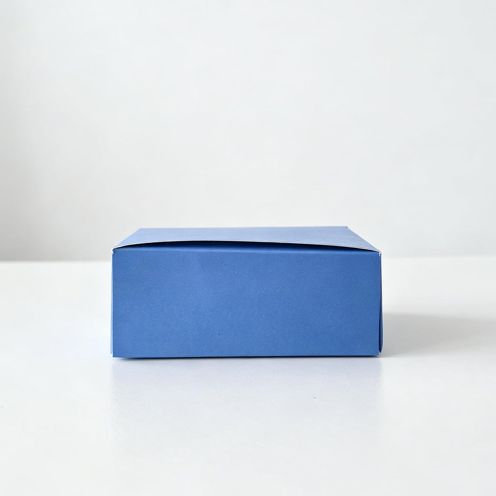 10 Pack 8g Whipped Cream Chargers Z106