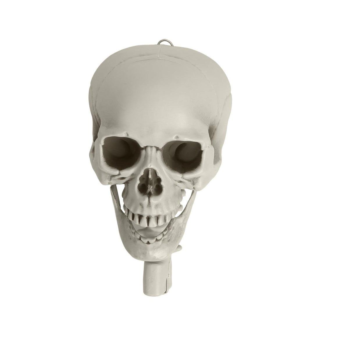 Life Size Poseable Skeleton with Movable Joints Z13345