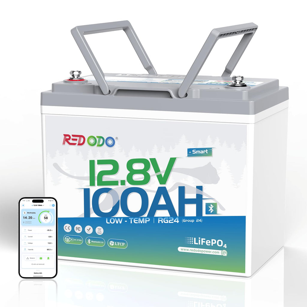 12V 100Ah Group 24 LiFePO4 Lithium Battery T25589