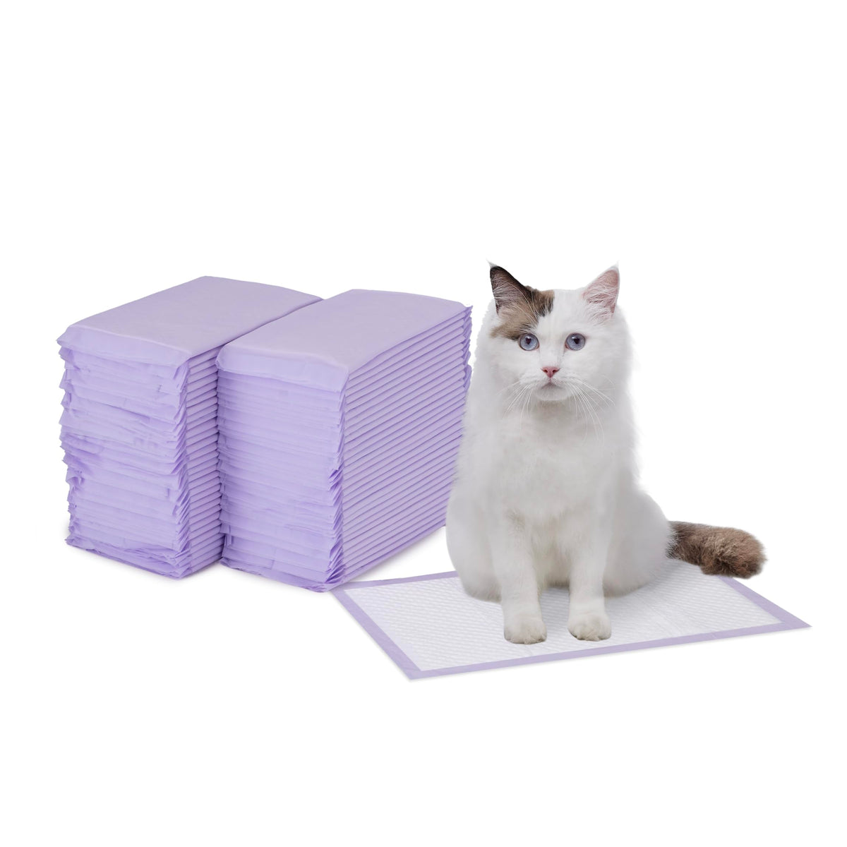 Cat Pee Pads, Super Absorbent, Disposable, Unscented, 60 Count P4406