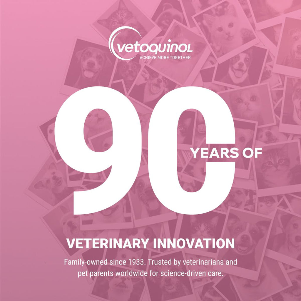 Chewable Probiotic for Pets 250 Count H69285