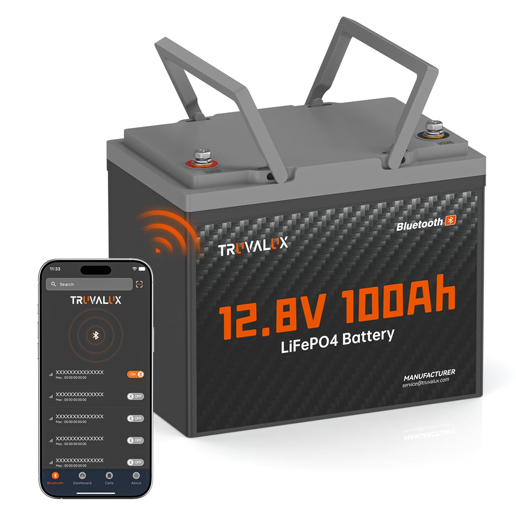 12V 100Ah LiFePO4 Lithium Battery T970665