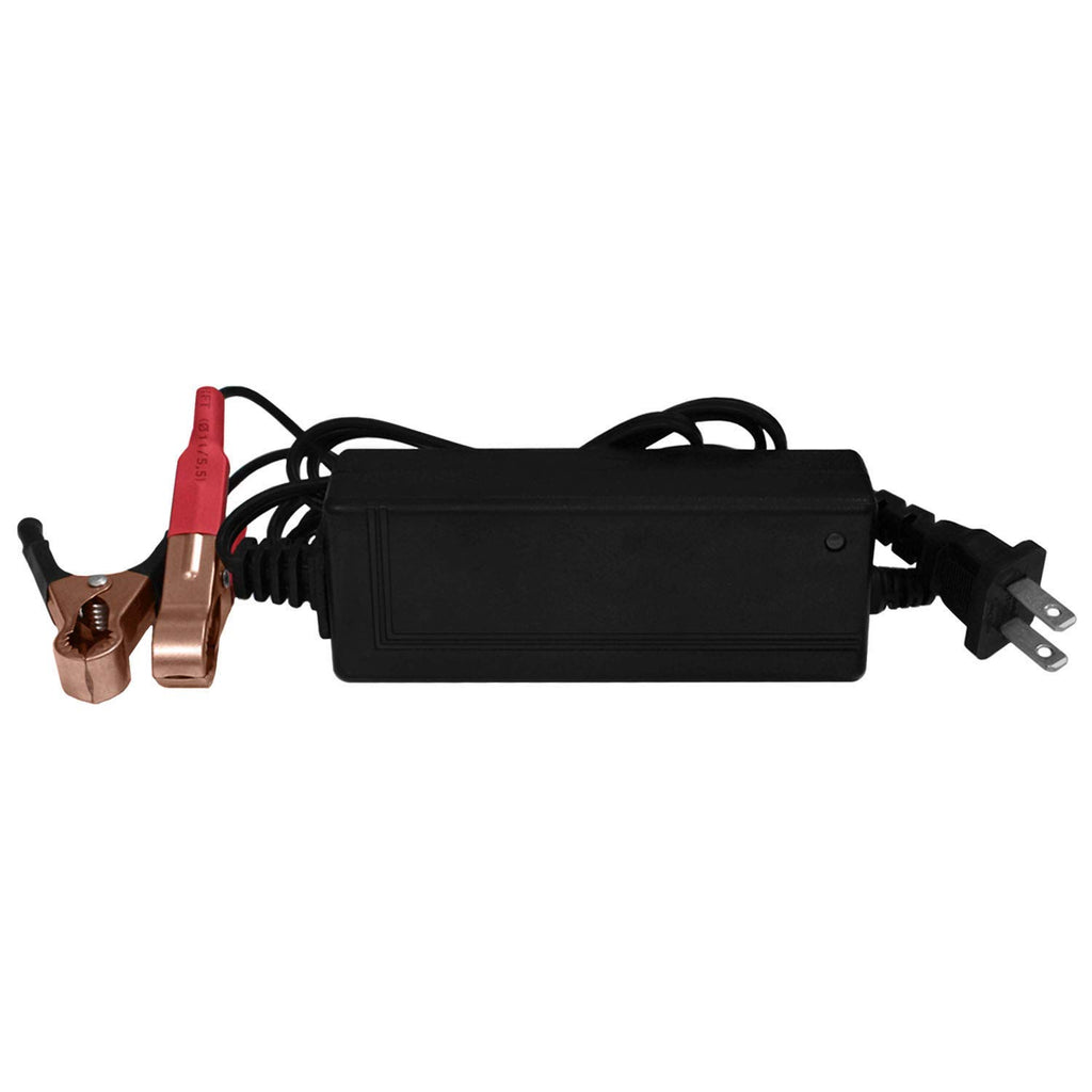 12V Battery with 2Amp Charger Q25653
