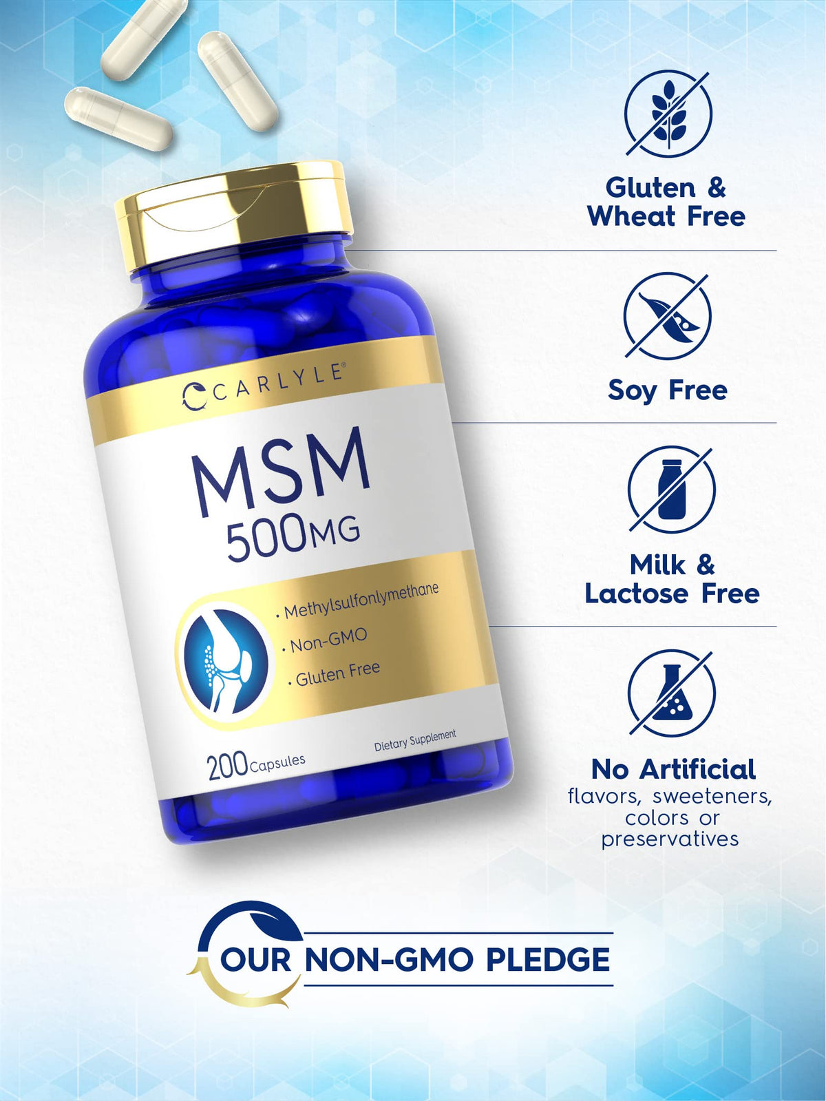 MSM Supplement Capsules 500mg 200 Count G499