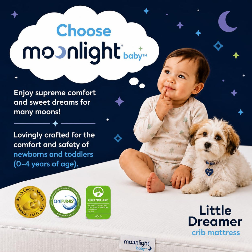 Dual-Sided Baby & Toddler Crib Mattress X93386