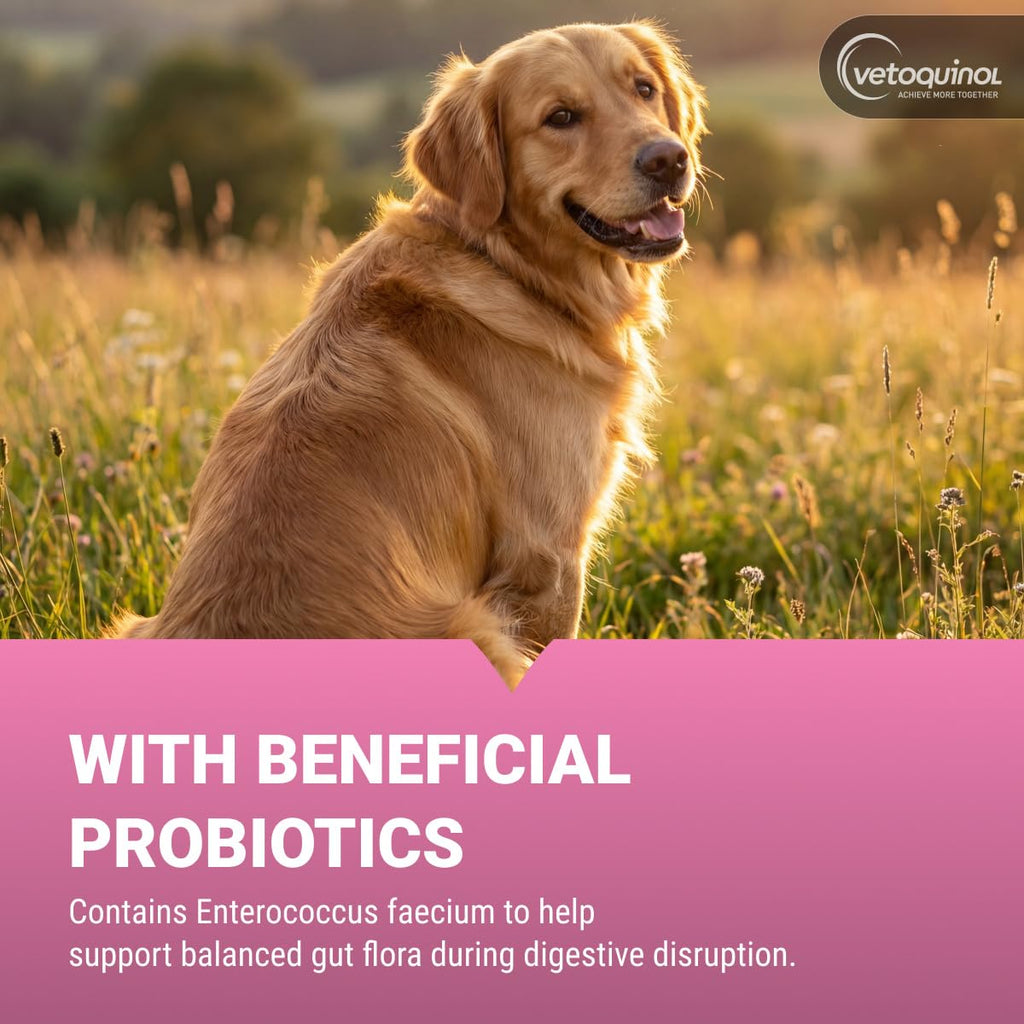 Chewable Probiotic for Pets 250 Count H69285