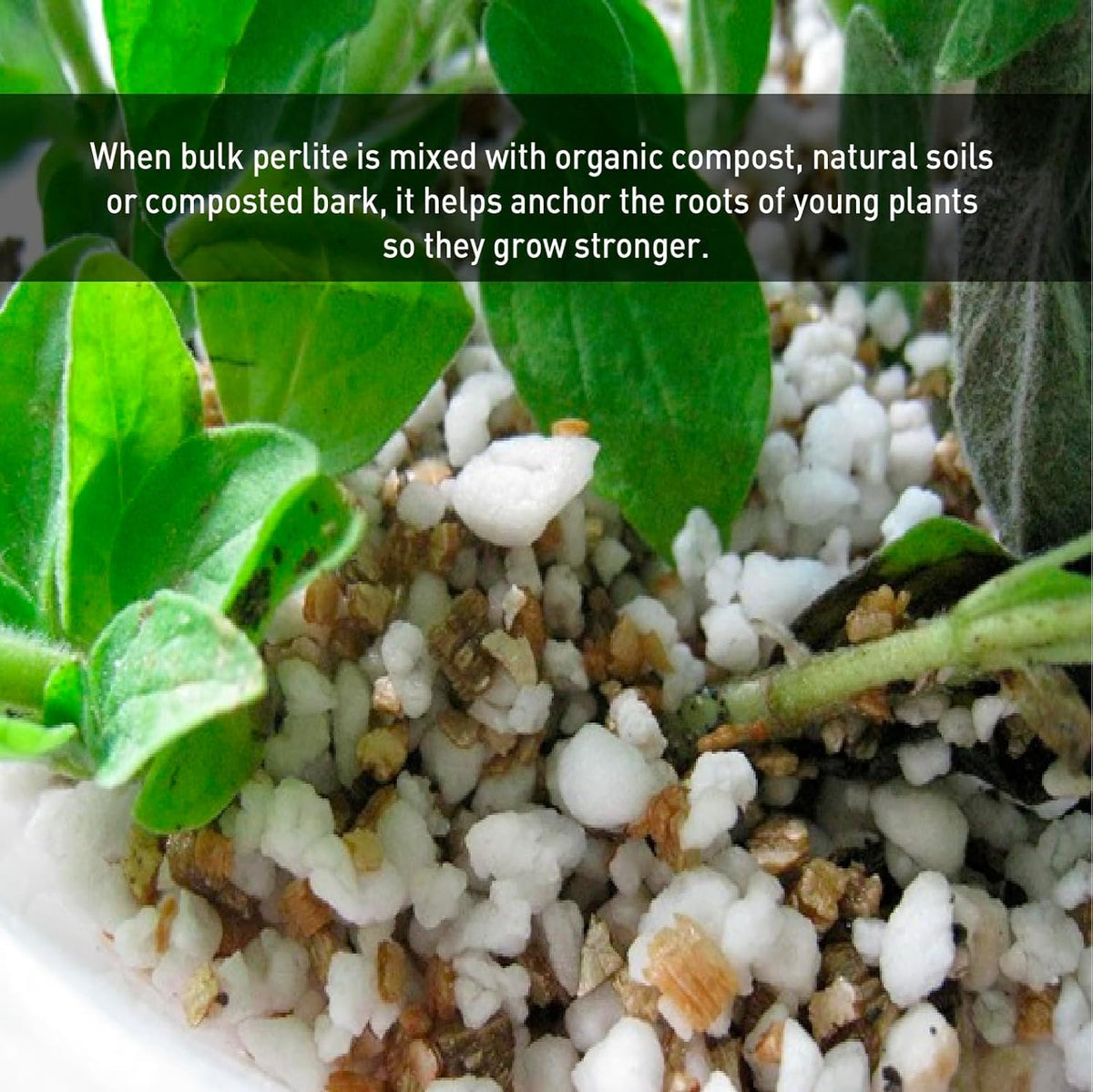 Perlite Horticultural Medium Grade Soil Additive 4 Cubic Feet 1 Bag P1441