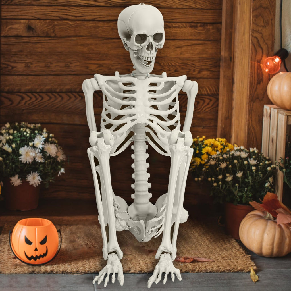 Life Size Poseable Skeleton with Movable Joints Z13345