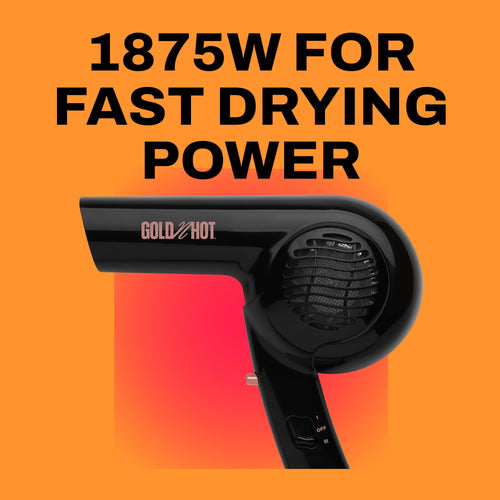 1875-Watt Dryer with Styling Pik K410621