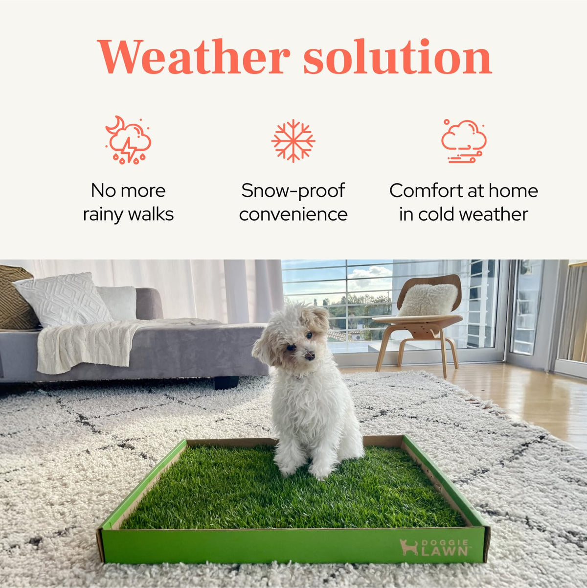 Real Grass Puppy Pads Medium 24x20 Z46523