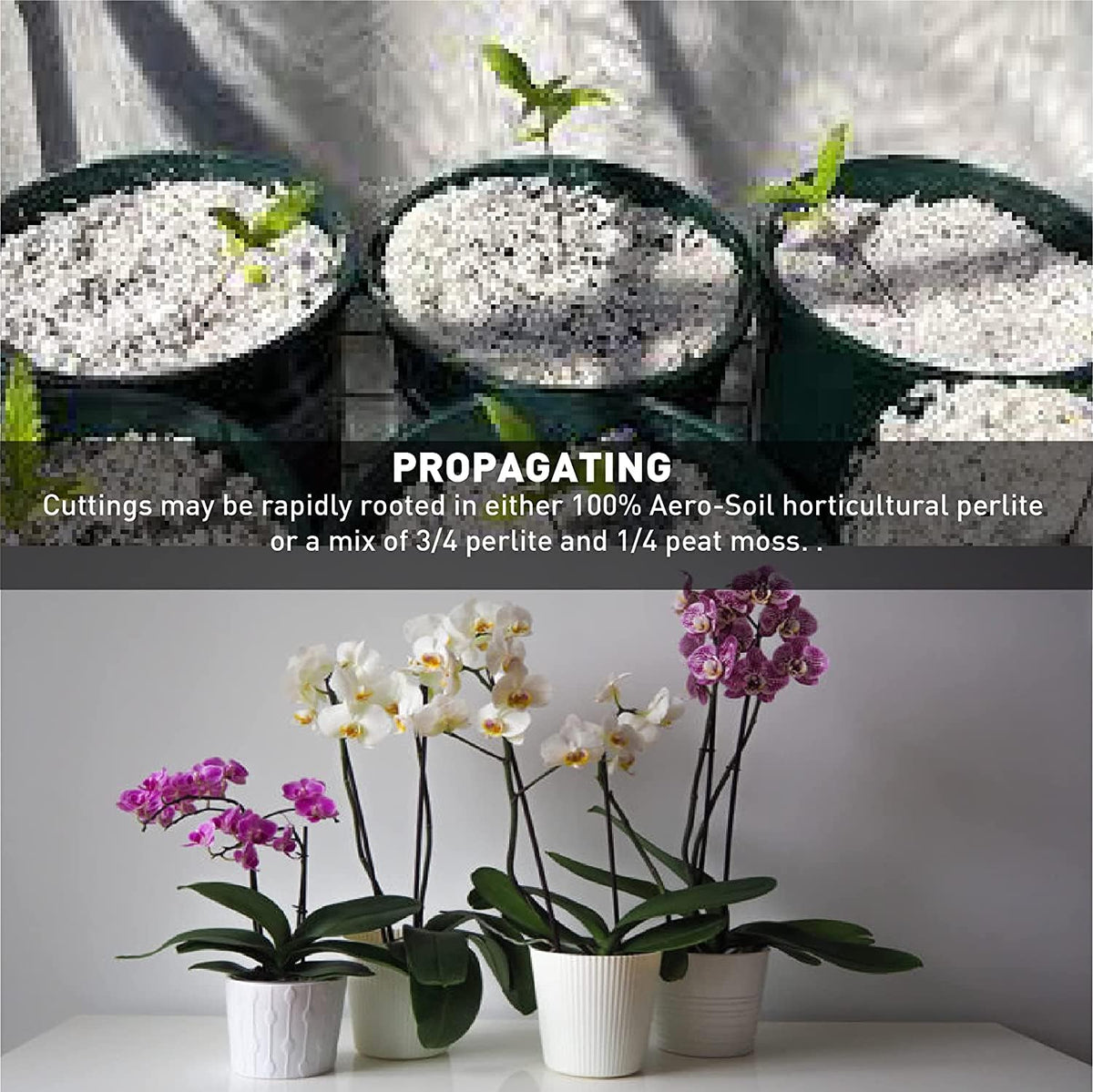 Perlite Horticultural Soil Additive 4 Cubic Foot J3814