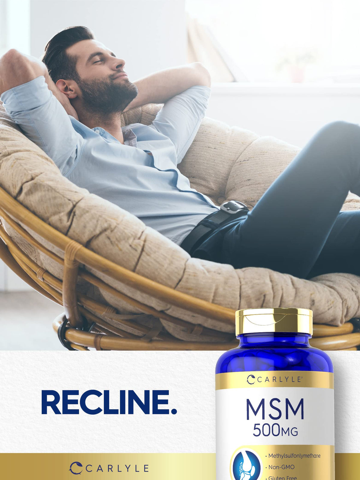 MSM Supplement Capsules 500mg 200 Count G499