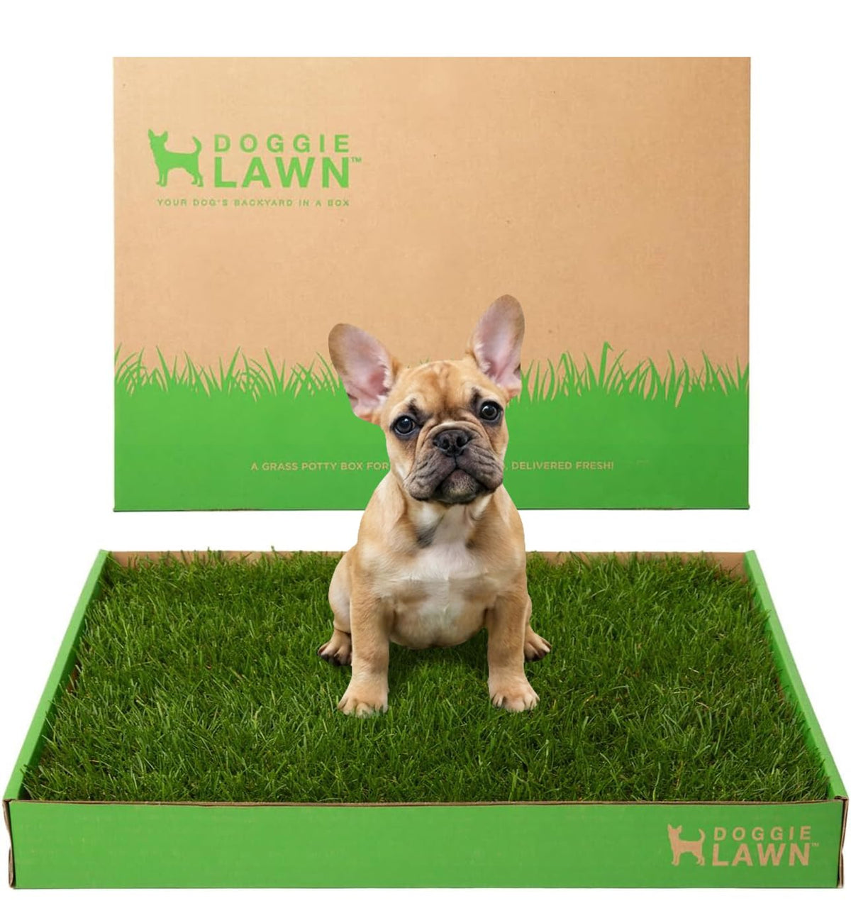 Real Grass Puppy Pads Medium 24x20 Z46523