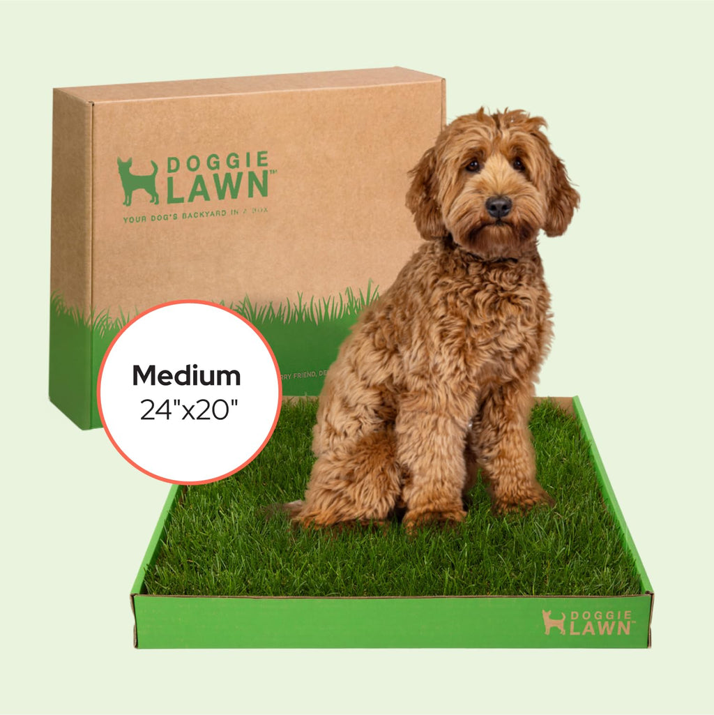 Real Grass Puppy Pads Medium 24x20 Z46523