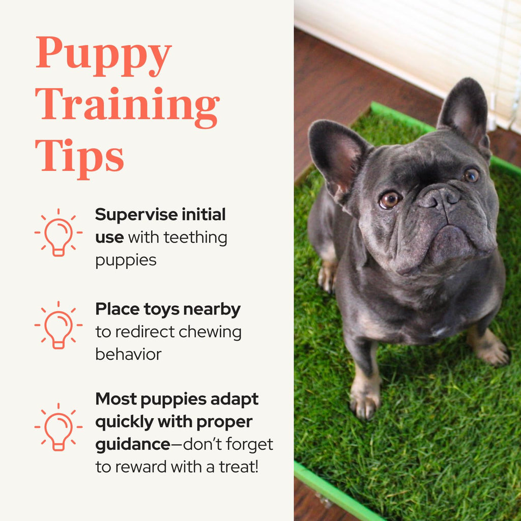 Real Grass Puppy Pads Medium 24x20 Z46523