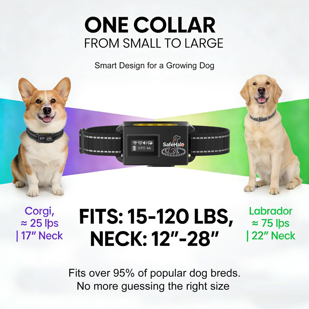 Wireless GPS Dog Fence Collar, 65–9,840 ft Radius, IPX7 Waterproof S241073