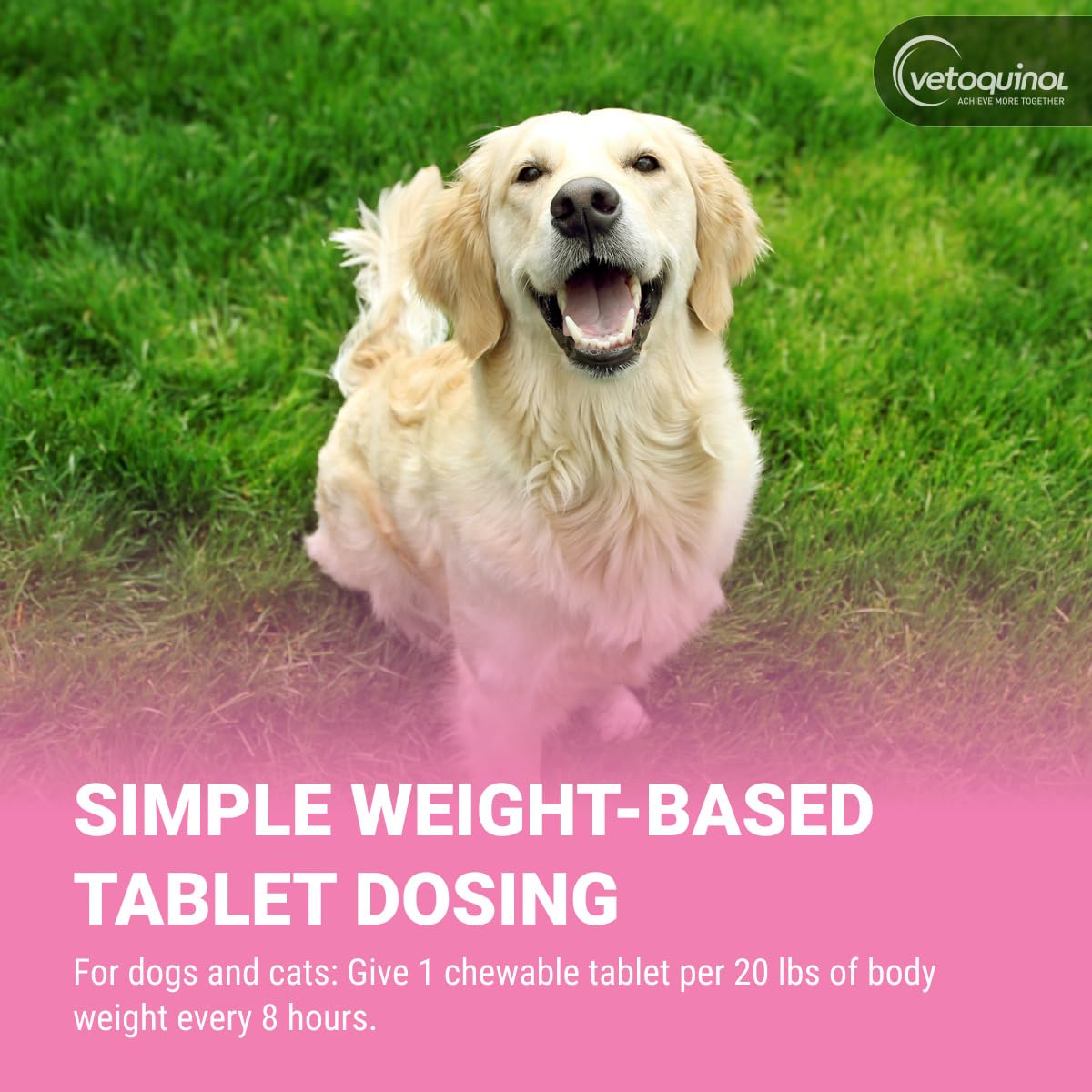 Chewable Probiotic for Pets 250 Count H69285