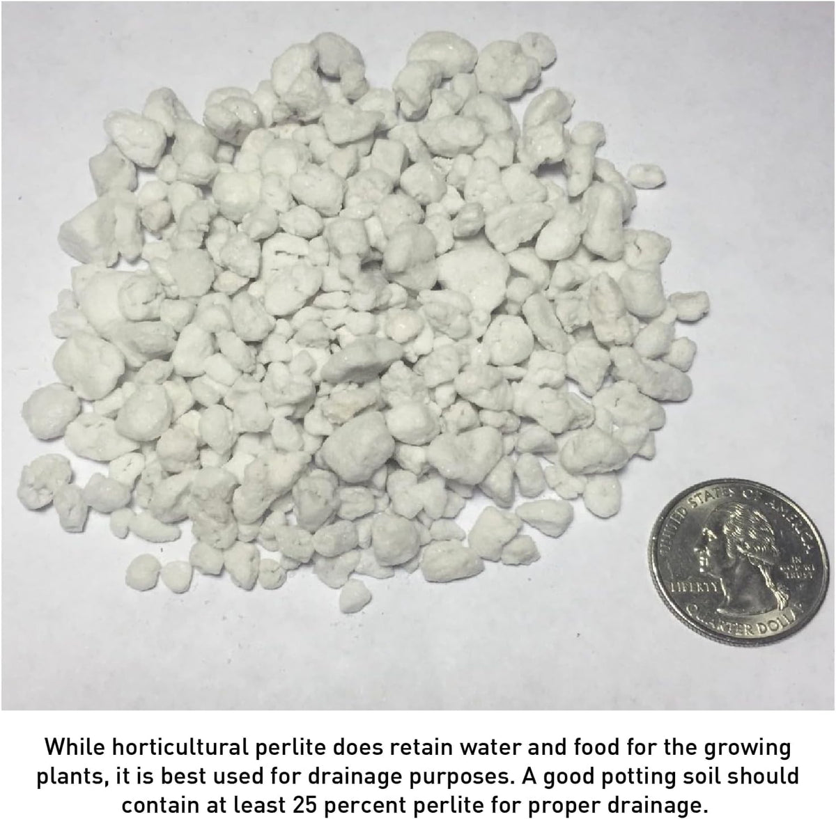 Perlite Horticultural Medium Grade Soil Additive 4 Cubic Feet 1 Bag P1441