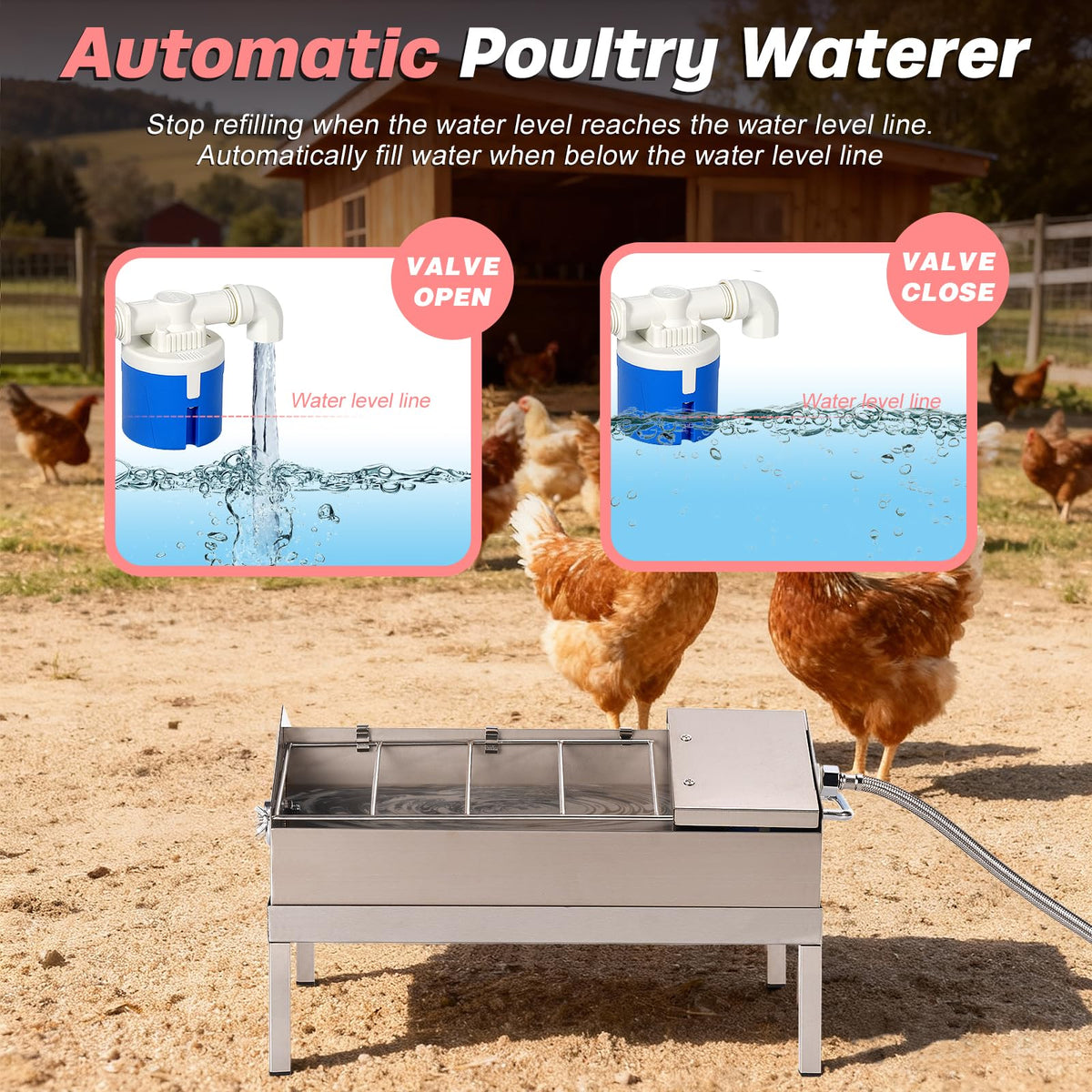 Automatic Chicken Waterer and Feeder B303
