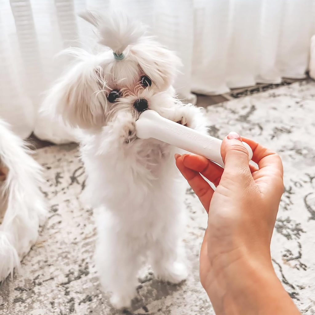 Puppy Teething Toys 3 Pack Y728527