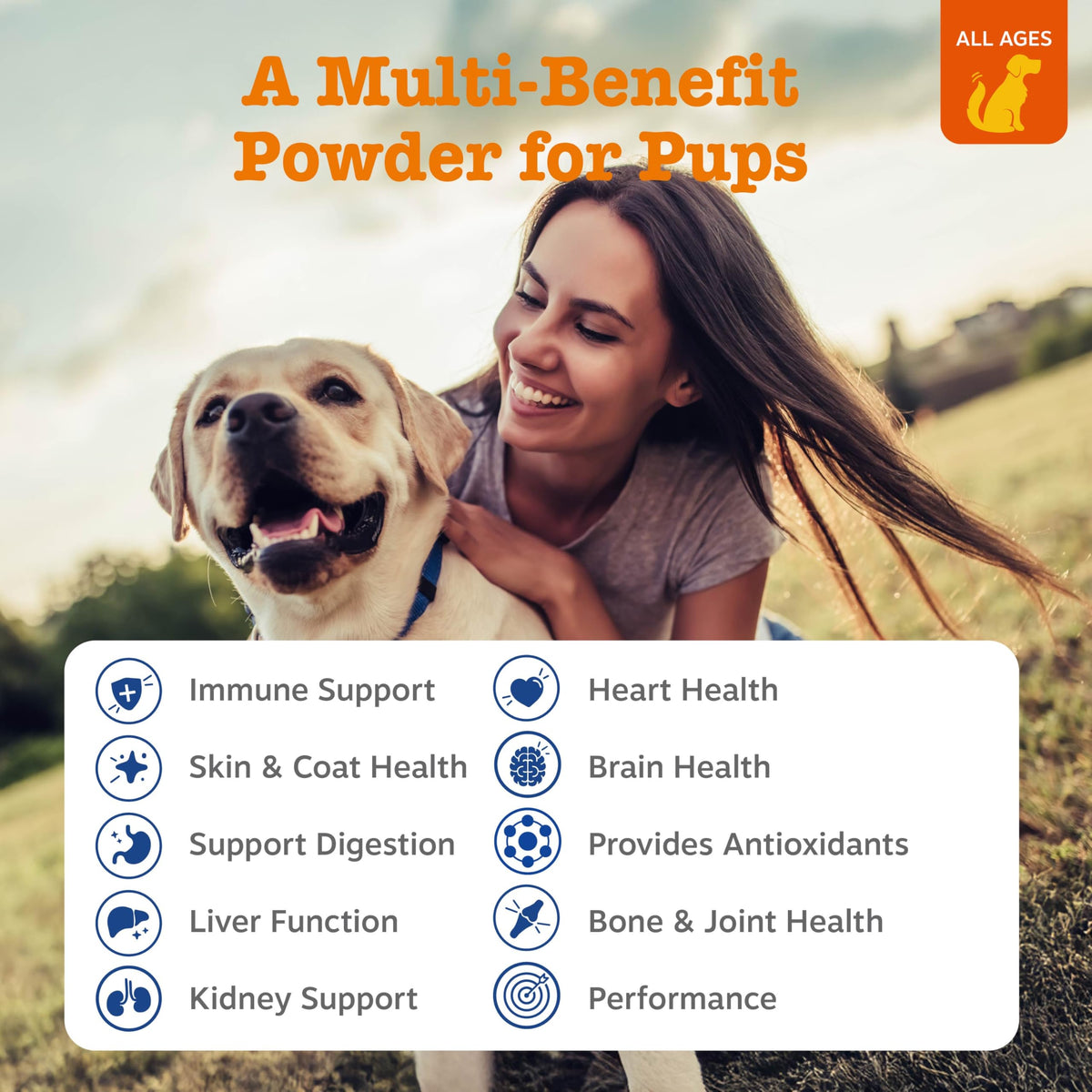 Dog Multivitamin Powder 30 Ct Y80603