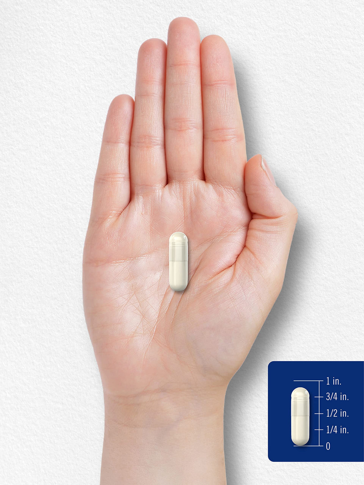 MSM Supplement Capsules 500mg 200 Count G499