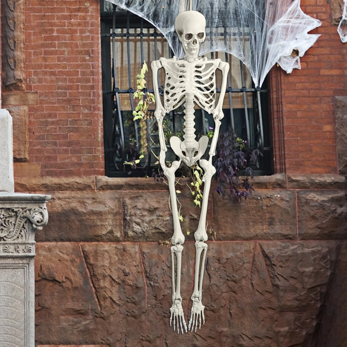 Life Size Poseable Skeleton with Movable Joints Z13345