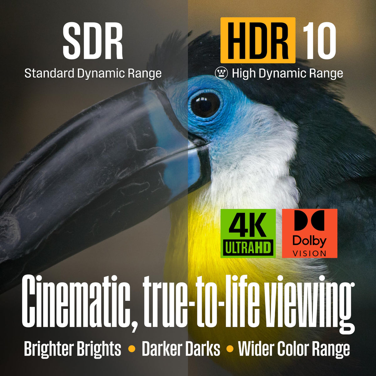 55 Inch 4K UHD Smart Outdoor TV B853865