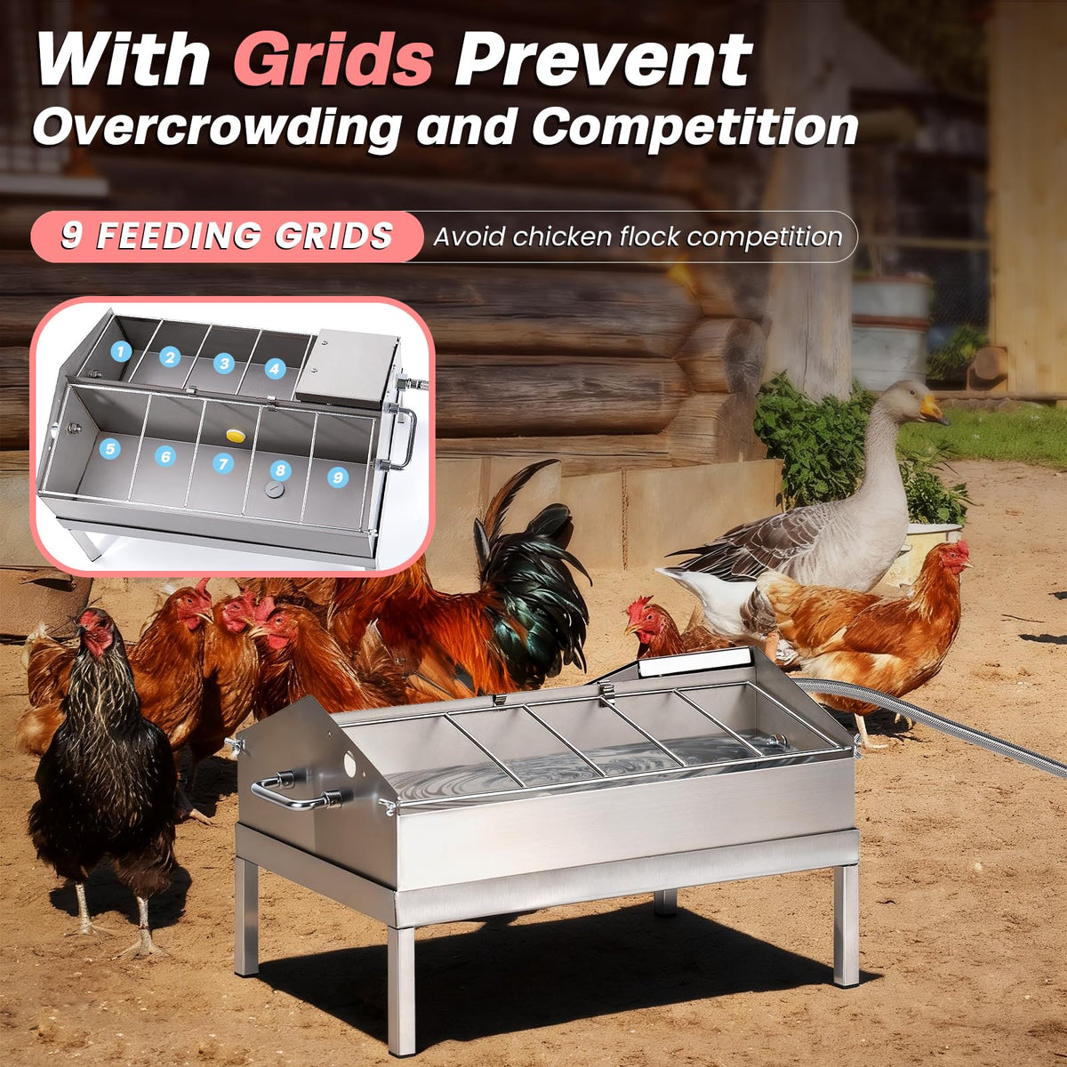Automatic Chicken Waterer and Feeder B303