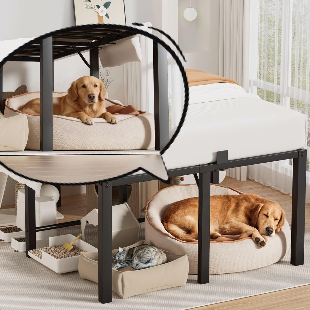 18 Inch Queen Size Black Metal Platform Bed Frame F864479