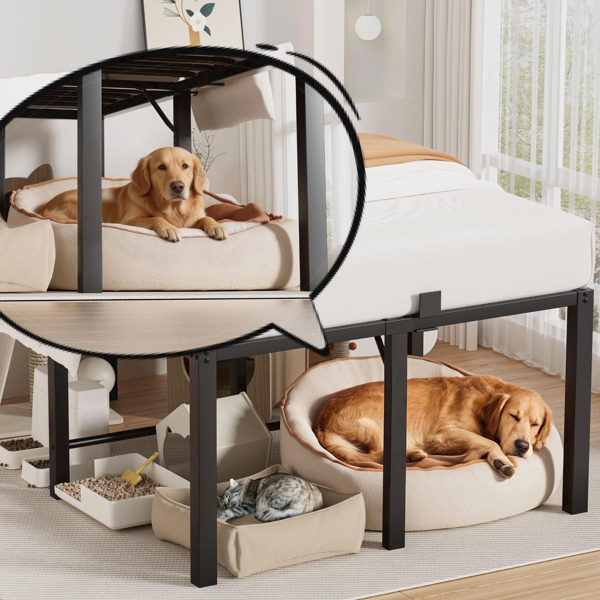 18 Inch Queen Size Black Metal Platform Bed Frame F864479