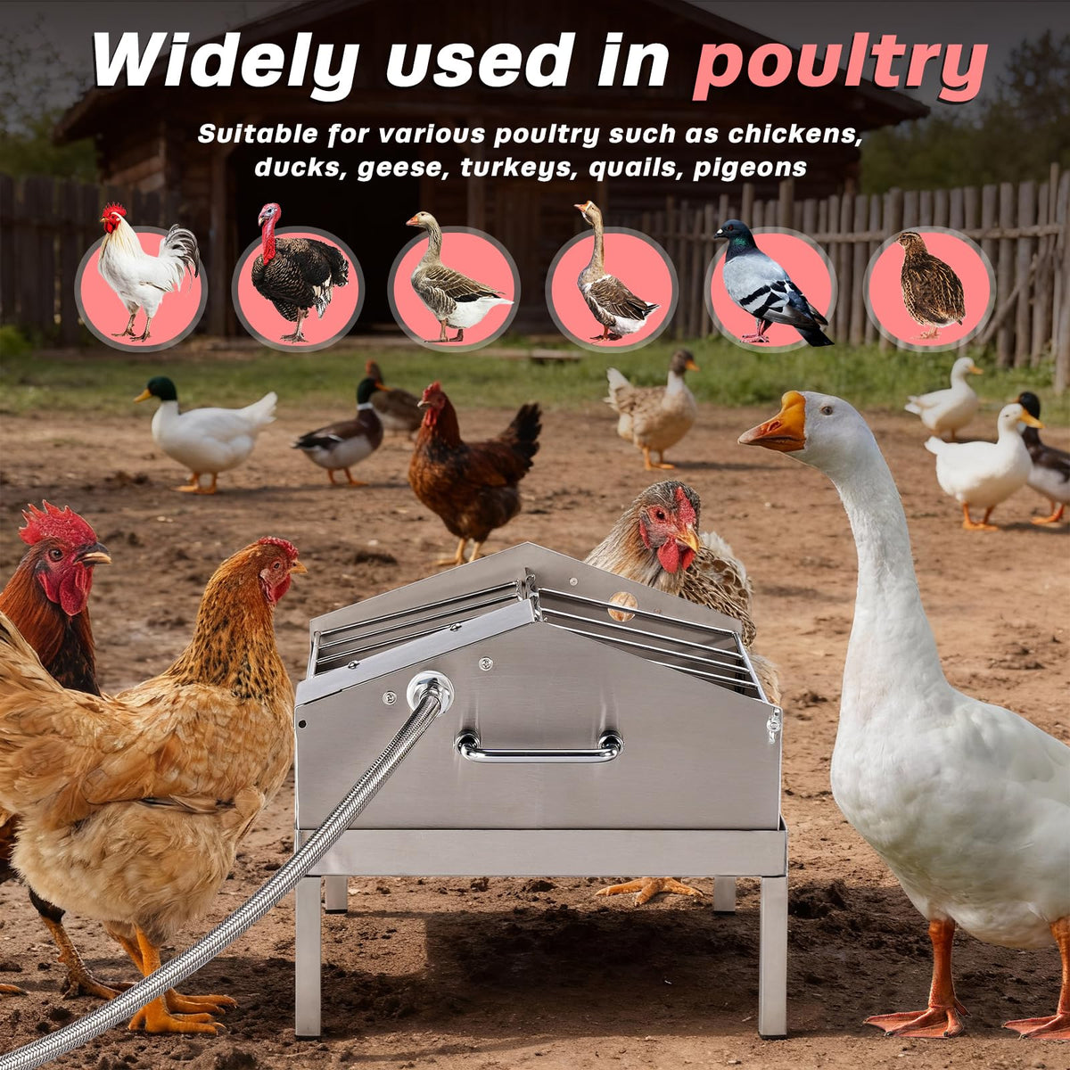 Automatic Chicken Waterer and Feeder B303