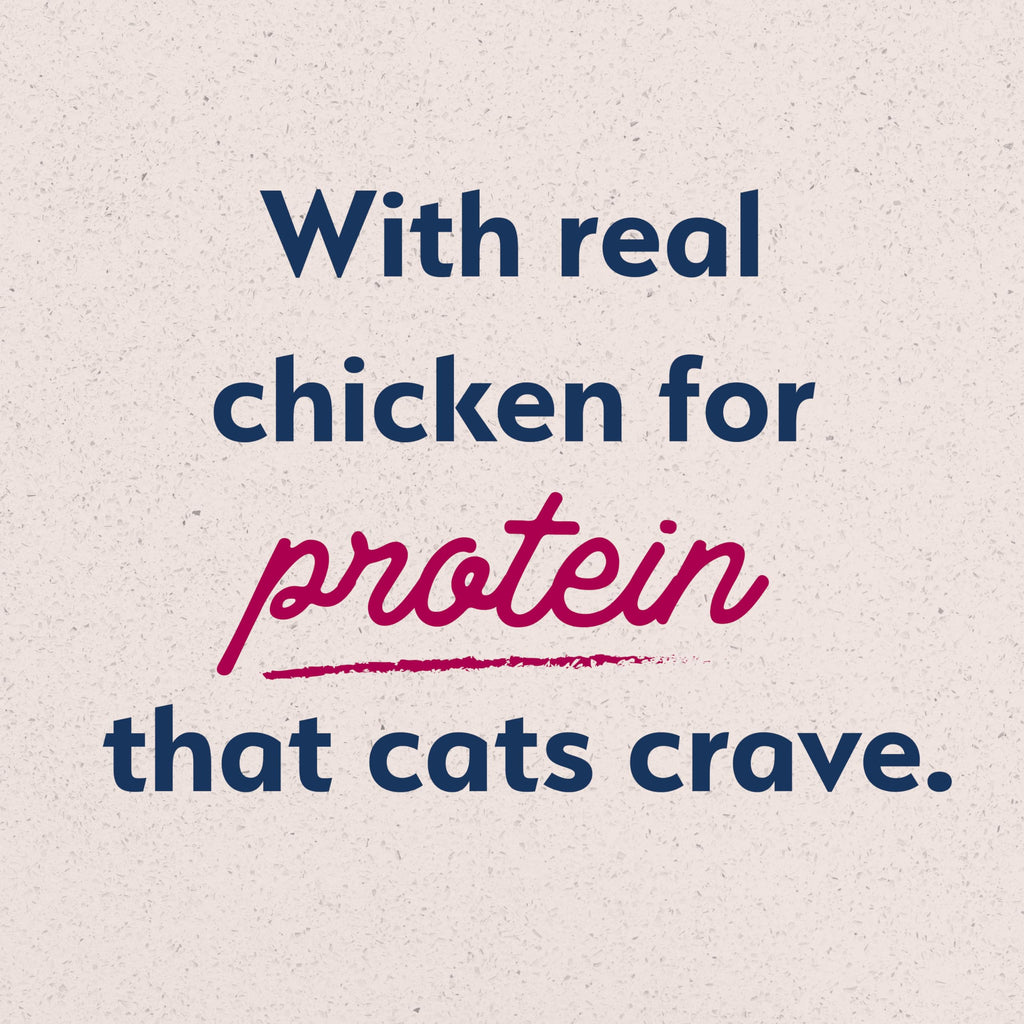 Dry Cat Food Chicken Meal & Salmon Meal 15 lb U62692