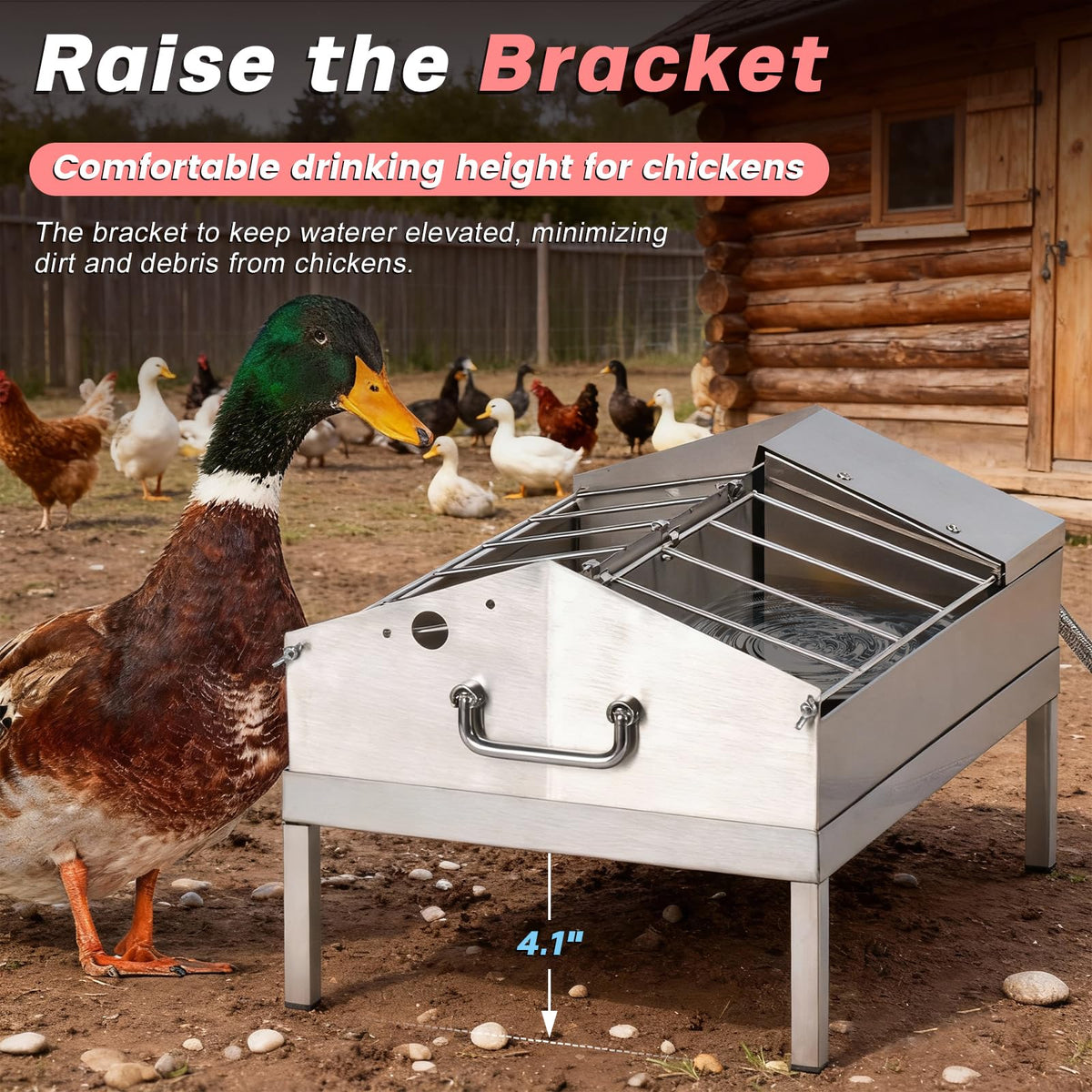 Automatic Chicken Waterer and Feeder B303