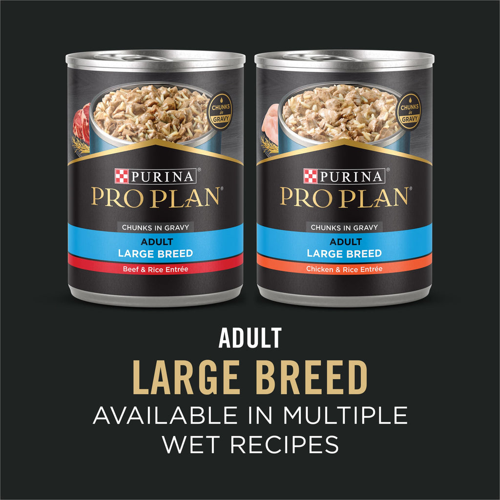 Chicken & Rice Dry Dog Food 34 lb Bag M567551
